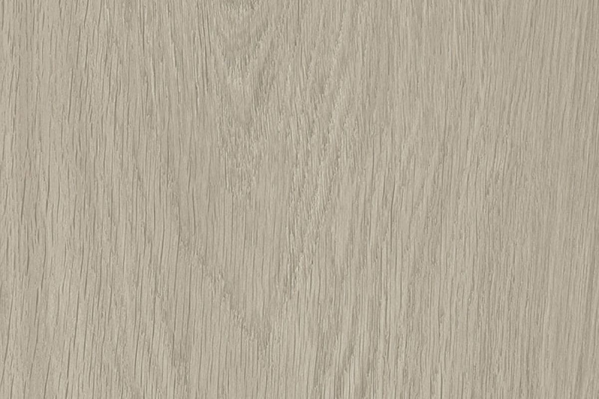 Cortice Haya EWH-5531 — Cortice